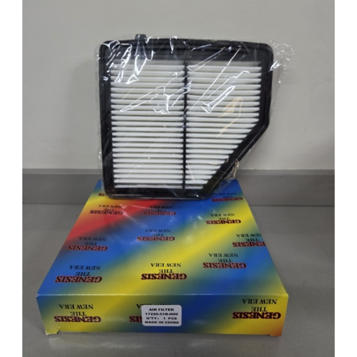 Air Filter, 17220-51B-H00
